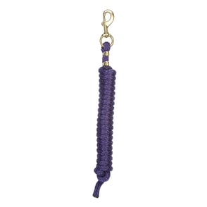 Weaver Mini/Pony Lead with Brass Snap