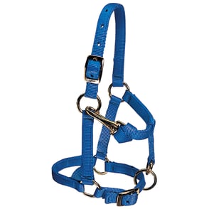 Weaver Mini Nylon Halter