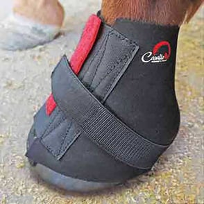 Cavallo Simple Boots Pastern Wraps
