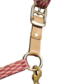 Centaur Replacement Break-Away Straps