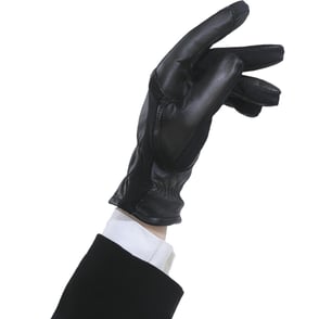 Ovation Stretch Show Gloves