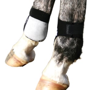 Professional's Choice Rear Ankle Boots