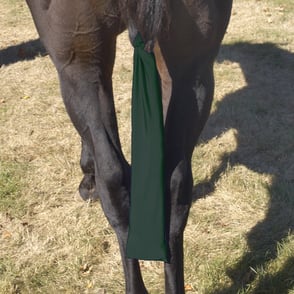 Centaur Stretch Tail Bag - HUNTER