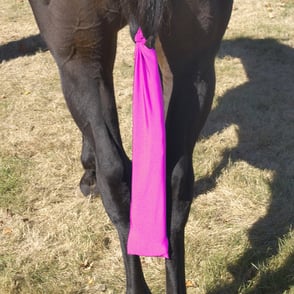 Centaur Stretch Tail Bag - PINK