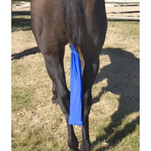 Centaur Stretch Tail Bag - ROYAL