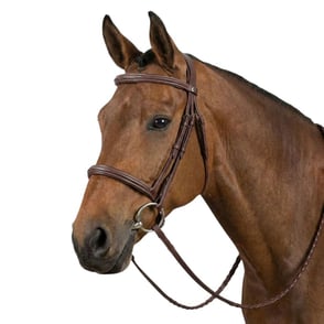 HDR Advantage Fancy Raised Bridle
