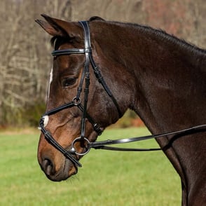 HDR Pro Mono Crown Figure 8 Bridle with Reins - Black\Oversize