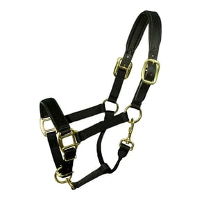 Premium Breakaway Padded Halter