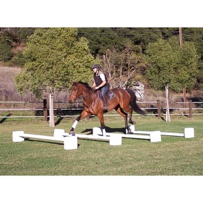 Burlingham Sports Quick Cavaletti Blocks
