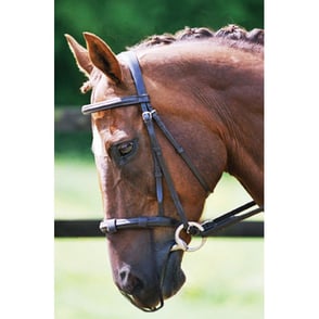 Equilibrium Net Relief Muzzle