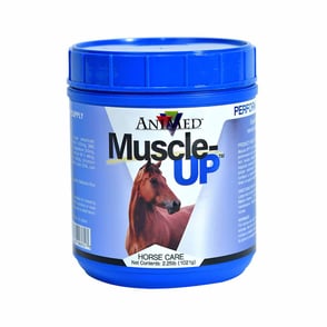 Animed Muscle-Up 2.5 lbs