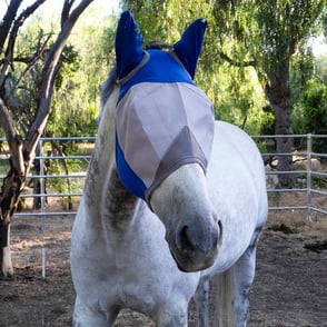 Majyk Equipe UV Protection Fly Mask