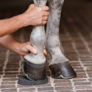 EquiFit HoofSavers