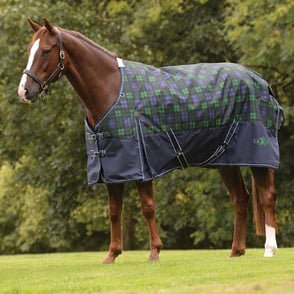 Saxon 1200D Standard Neck Heavyweight Turnout II