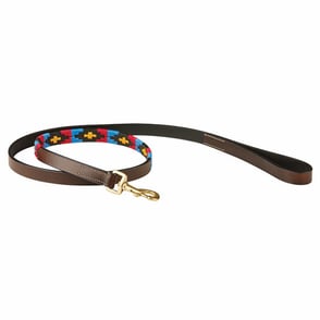 WeatherBeeta Polo Leather Dog Lead