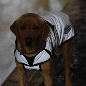 WeatherBeeta ComFiTec Reflective Dog Coat