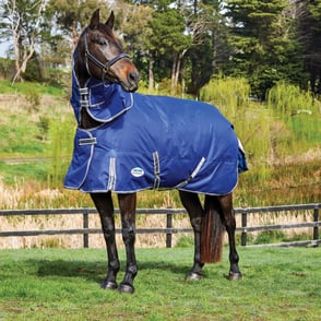 Weatherbeeta Comfitec Premier Free II Detach-A-Neck Medium