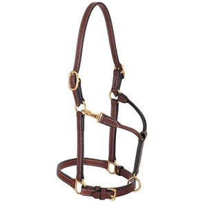 Weaver Leather 3/4in Double Buckle Leather Halter