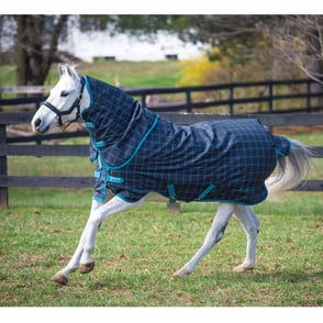 Amigo Pony Plus 50g