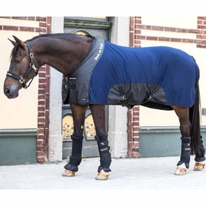 Back on Track Royal Mesh Deluxe Sheet