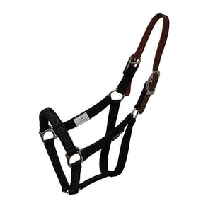 Flexible Filly Turnout Halter