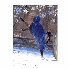 Christmas Card: Happy Bucking Holidays