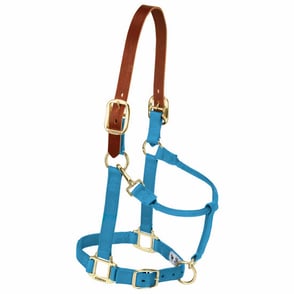 Weaver Breakaway Original 1-inch Adjustable Halter with Snap