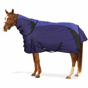 Pessoa Extreme 250 Gram Turnout Blanket