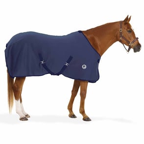 Centaur Pony Turbo Dry Cooler