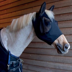 Catago Fir-Tech Fly Mask
