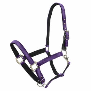 Centaur Glitter Breakaway Halter