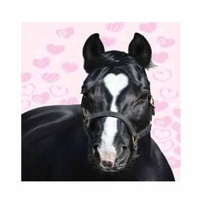 Thank You Card: Horse with Heart