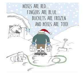 Christmas Card: Noses are Red