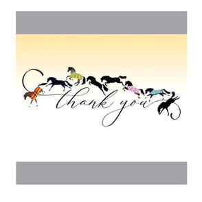 Thank You Card: Galloping Horses