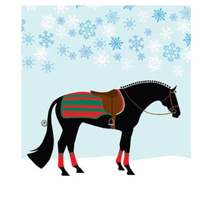 Christmas Card: Newmarket Blanket