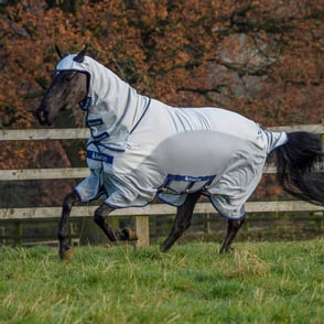 Bucas Sweet Itch X Sheet