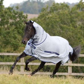 Bucas Buzz Off Fly Sheet with Detachable Neck