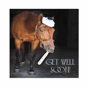 Get Well Card: Horse with Thermometer