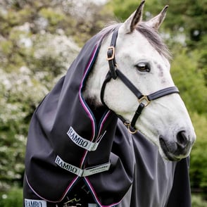 Rambo 1680D Turnout Hood 0g