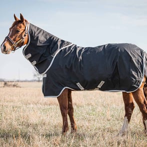 Amigo Stock Horse Plus 200g