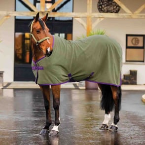 Amigo Fleece Cooler