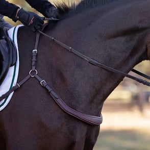 Correct Connect Free Motion Breastplate