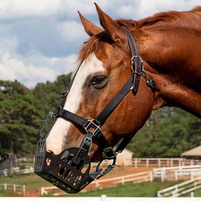 GreenGuard Grazing Muzzle