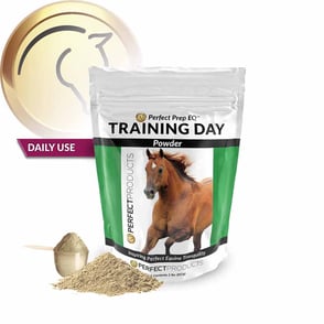 Perfect Prep Training Day Powder