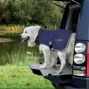 Rambo Dog Dry Rug