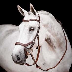 Rambo Micklem 2 Competition Bridle w/ Reins