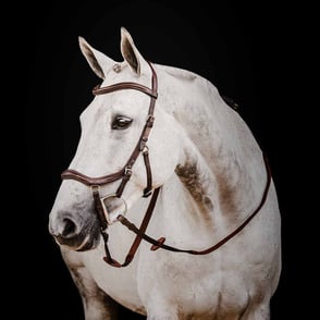 Rambo Micklem 2 Deluxe Competition Bridle w/ Reins