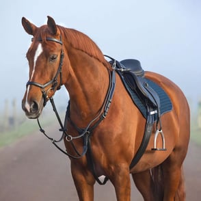 Rambo Micklem Breastplate with Running Martingale