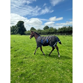 Amigo Ripstop 900D Foal Turnout 200g