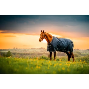 Amigo Ripstop 900D Pony Turnout 0g